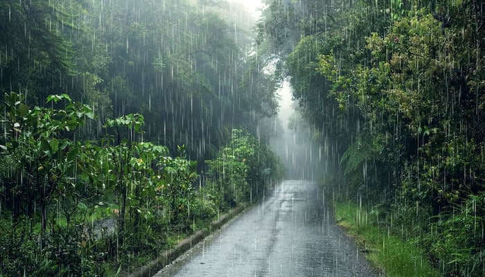 kerala-monsoon-special